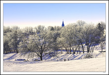 Frost Foliage