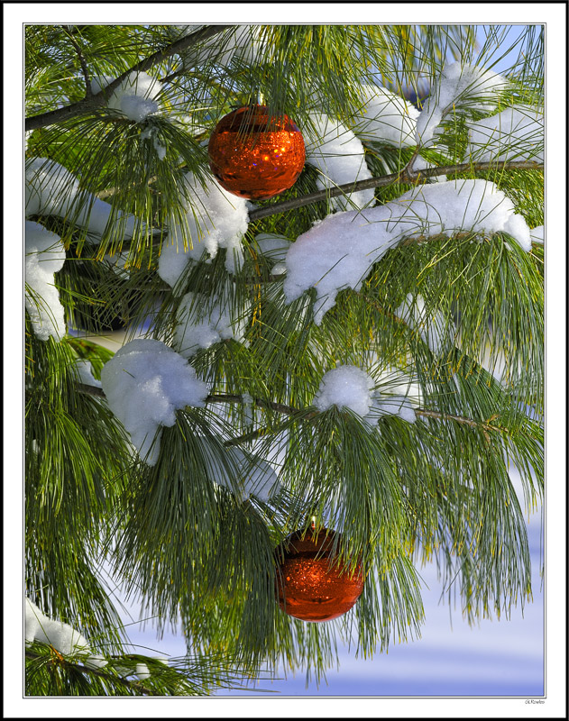 Festive Snowfall