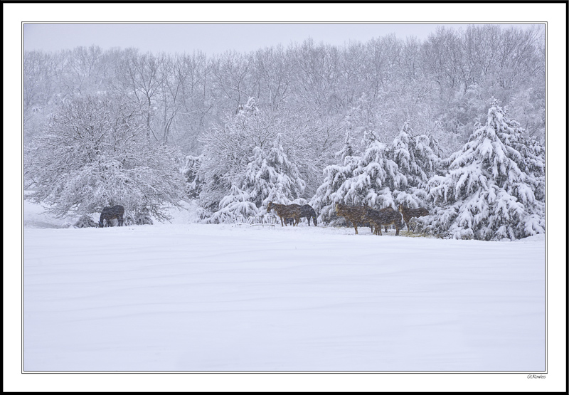 Weathering The Storm