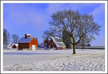 Frosted Color And Form