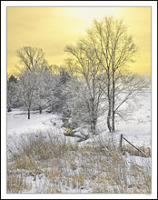 Soft Dawn Breaking Across Skillet Creek