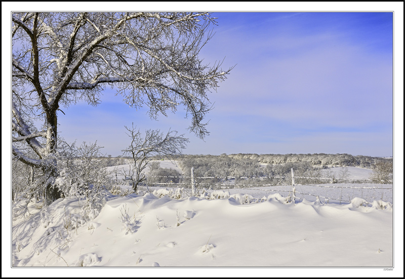 Winterscape In Blue