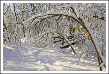 Winter's Powdery Passage