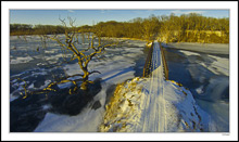 The West Trail Bridge I