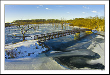 The West Trail Bridge II