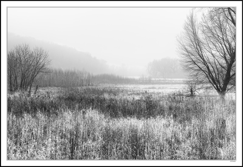 River Valley Mists