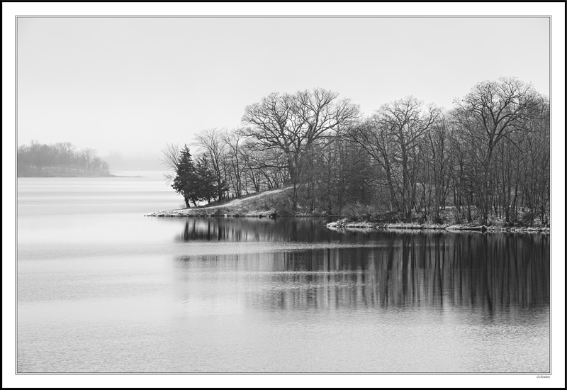 Misty Morning Forms