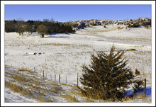 Pasture and Stream