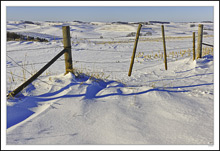 A Cowboy Gate Frames Terraced Hills