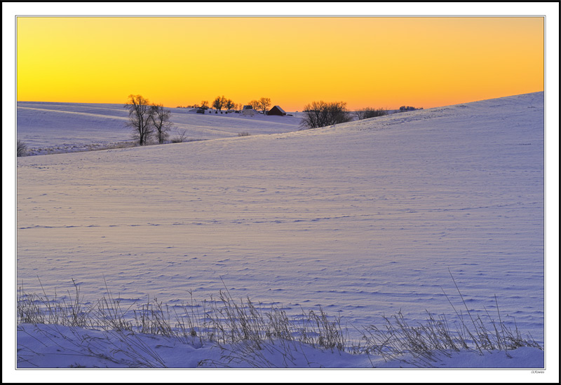 Winter Dunes Feel Dawn's Warmth