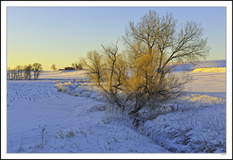 Sunrise Sets The Straggle Aglow