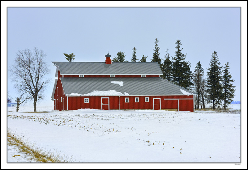 Winter Color