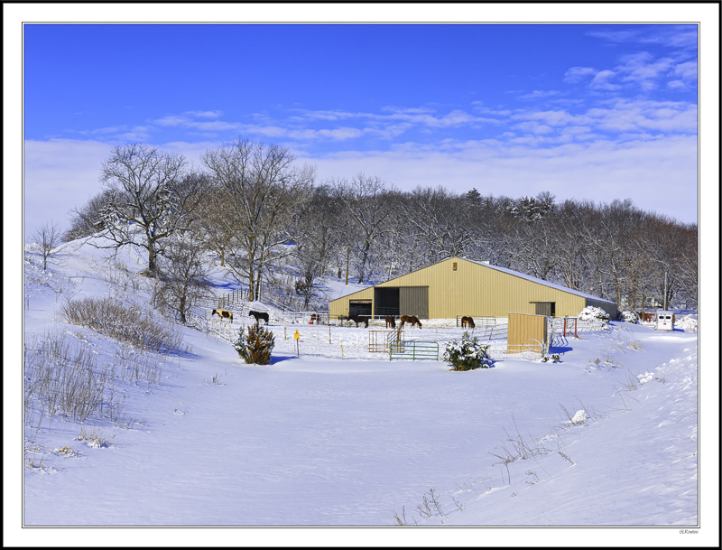 Winter Corral