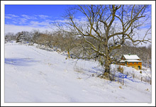 Hill Climbing Fence