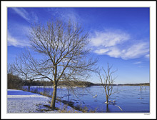 Cloud Wisps Across Frozen Waters