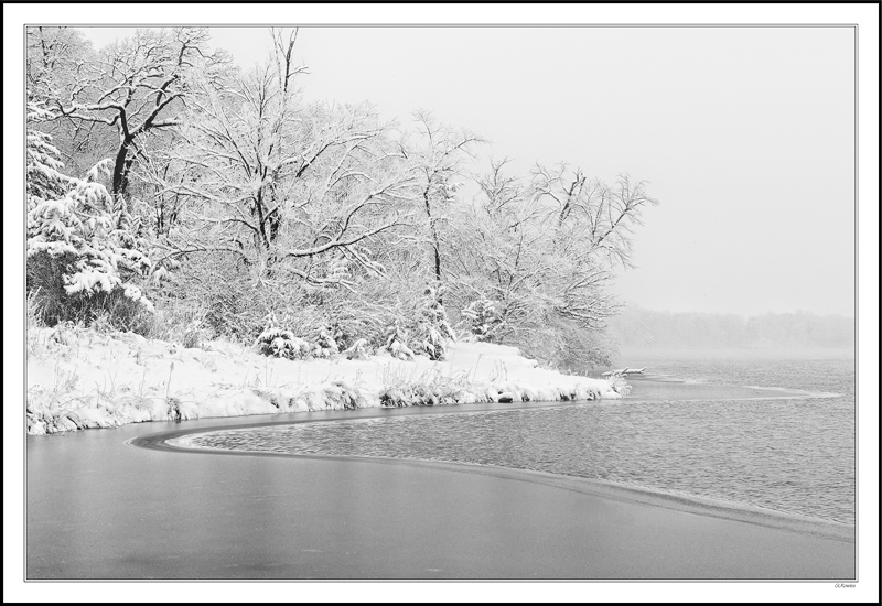 The Freeze  Imposes On The Lake's Edge