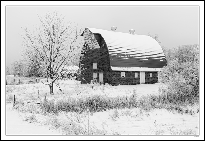 Winter Serenity