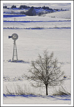 Farmland's Winter Silhouettes