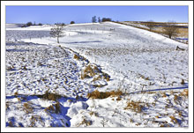 Snow Gully Contours