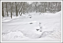 Soft Water Stream