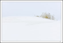 Fence Line