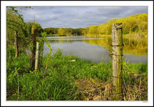 Mellow Light On Placid Water