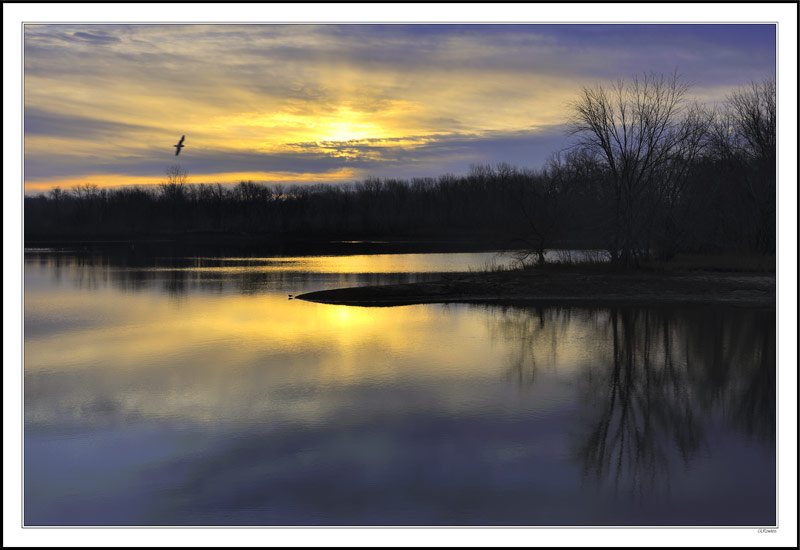 Flight Into Contentment