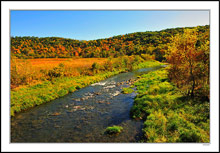 A Torrent Of Color