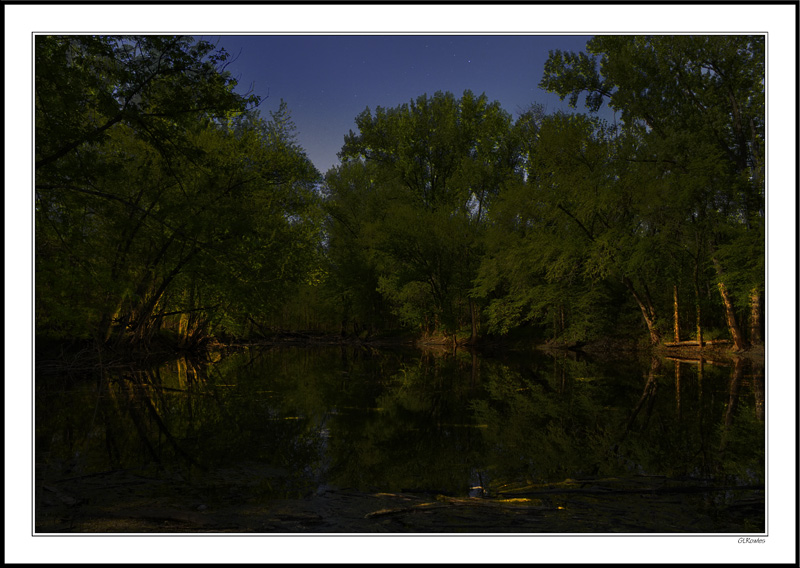 Moonlight Pond