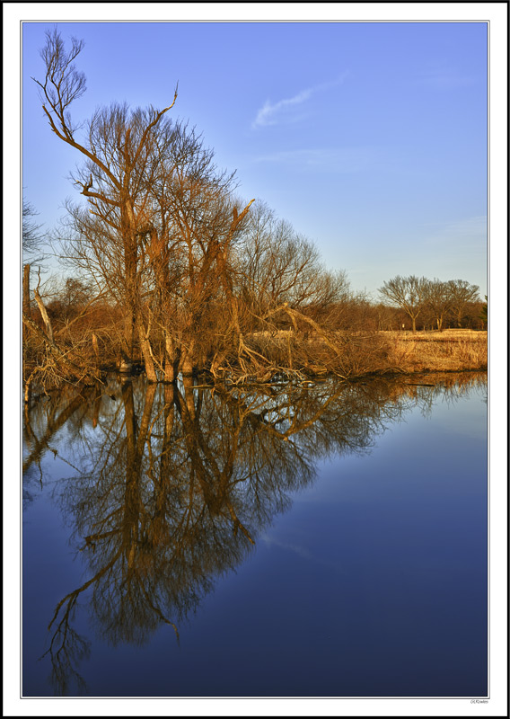 Treeline Triangle