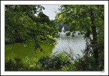 Distant Sail and Emerald Cove