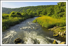 Bear Creek Rushes Through the Meadows