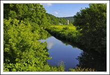 Hillside Nest and Mirroring Creek