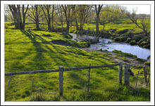 Soft Textures, Morning Light and Flowing Creek - Heavenly I