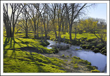 Soft Textures, Morning Light and Flowing Creek - Heavenly II