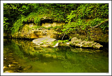 A Quiet Trout Stream Mimics the Limestone I