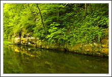 A Quiet Trout Stream Mimics the Limestone II