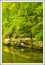 A Quiet Trout Stream Mimics the Limestone III