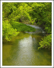 Golds and Greens and Gurgling Creek