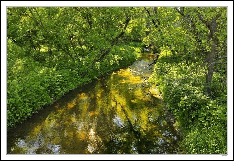 Looks Like a Place to Pan For Gold