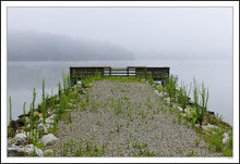 Fogbound Jetty