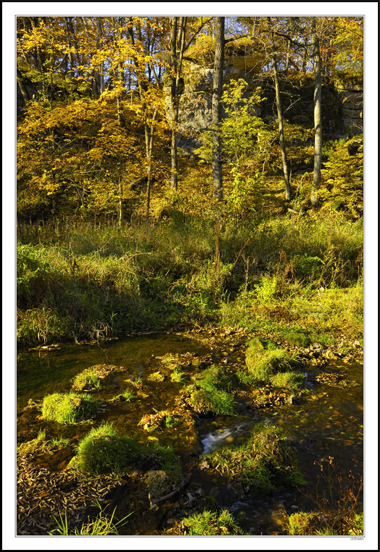 Light Clumped Stream