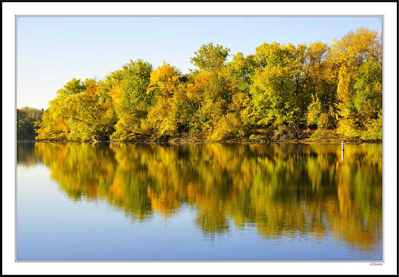 Golden Riverbank