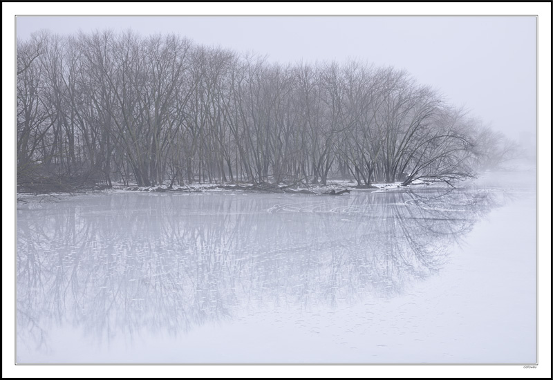 Bristling Reflection