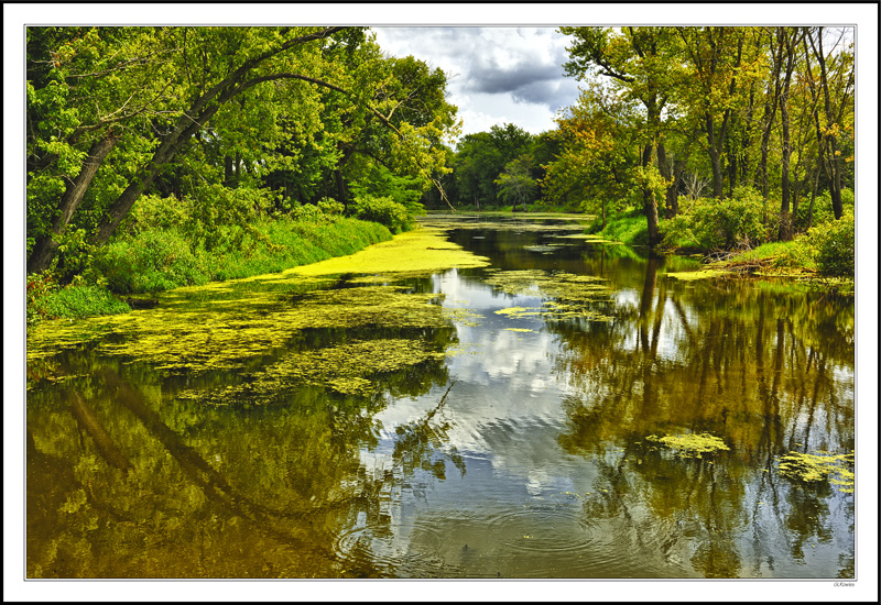 Green Island