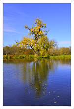 Cottonwood Trail