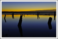 Tree-Trunk Lagoon Sunrise I