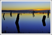 Tree-Trunk Lagoon Sunrise II