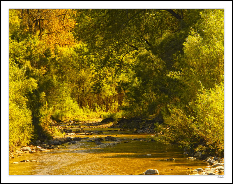 Touched By Autumn Along Peas Creek