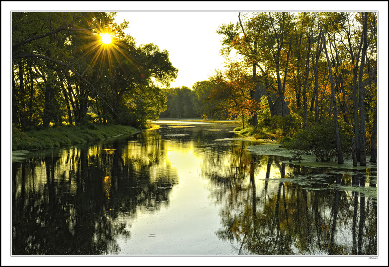 Sunburst Over A Green Island Waterway